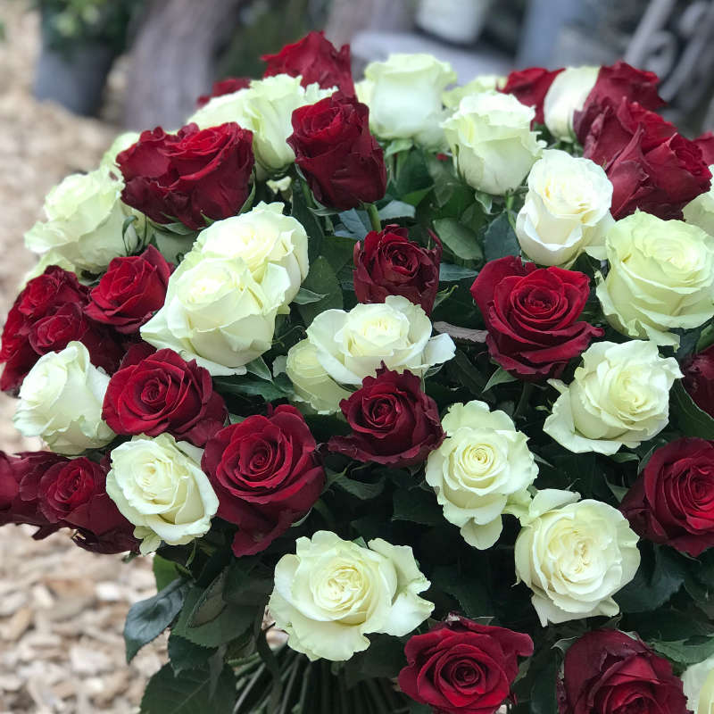 Bouquet de roses
